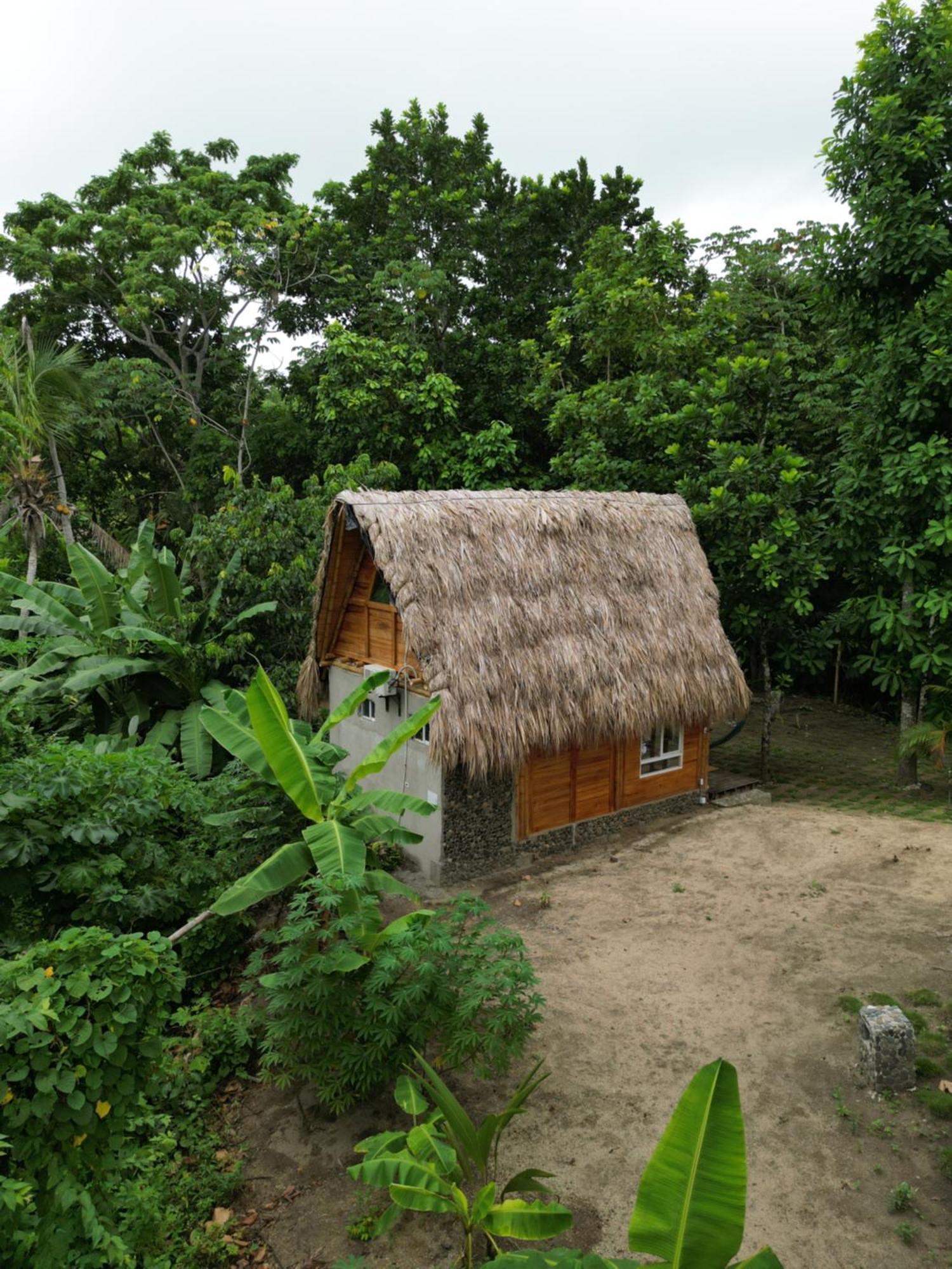 Tiny Houses Unique Tayrona - Dentro Del Parque Tayrona Эль-Саино Экстерьер фото