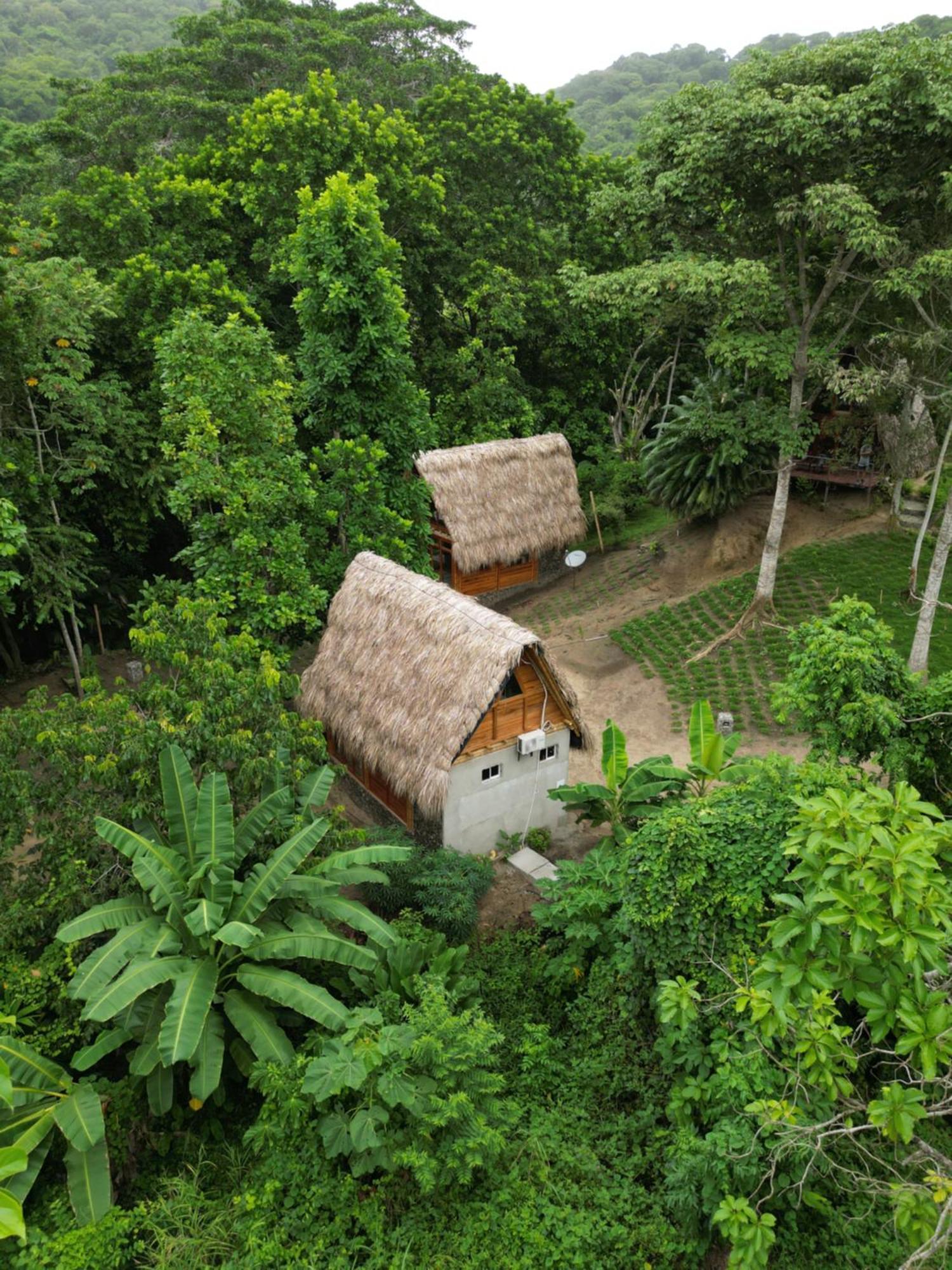 Tiny Houses Unique Tayrona - Dentro Del Parque Tayrona Эль-Саино Экстерьер фото