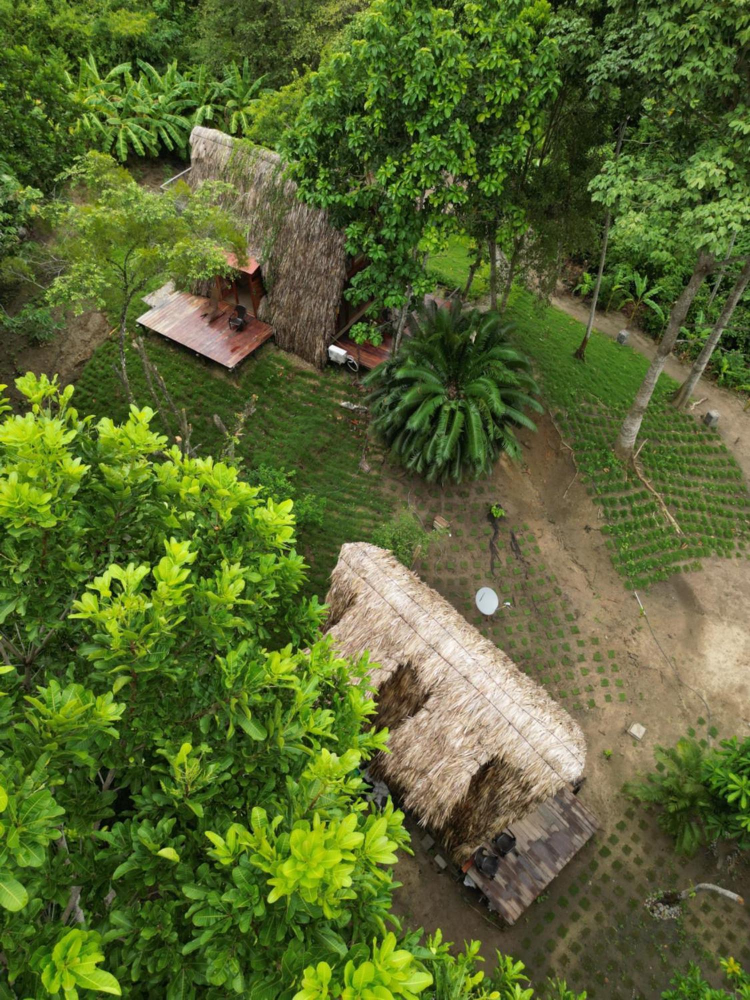 Tiny Houses Unique Tayrona - Dentro Del Parque Tayrona Эль-Саино Экстерьер фото