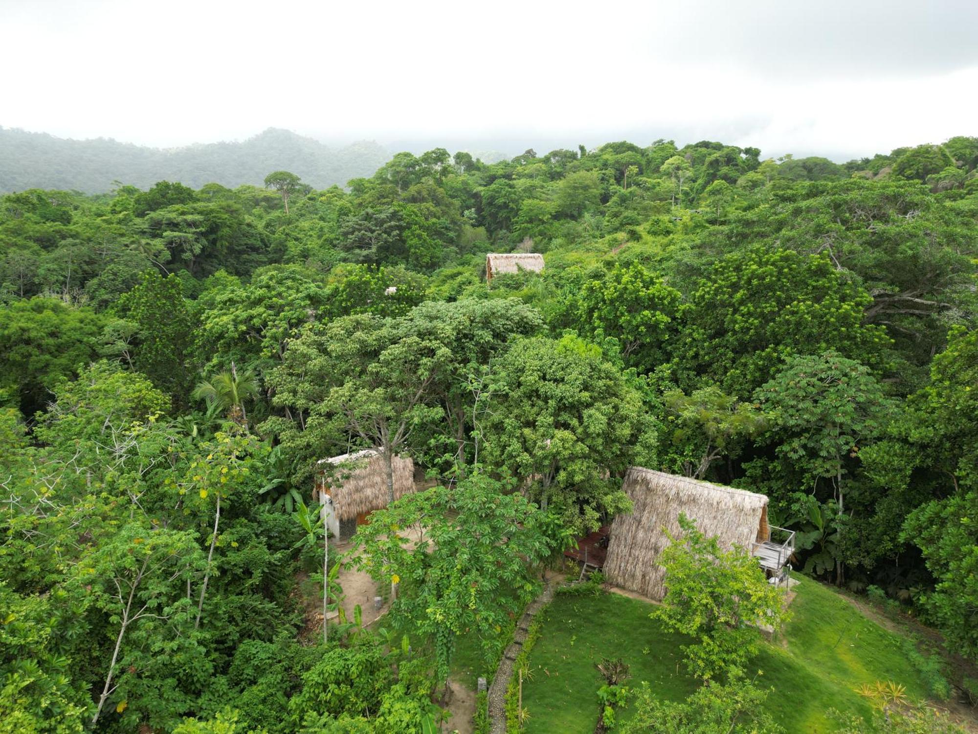 Tiny Houses Unique Tayrona - Dentro Del Parque Tayrona Эль-Саино Экстерьер фото