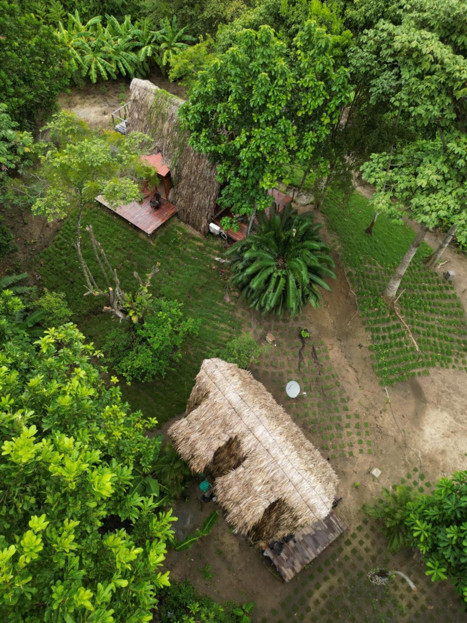 Tiny Houses Unique Tayrona - Dentro Del Parque Tayrona Эль-Саино Экстерьер фото