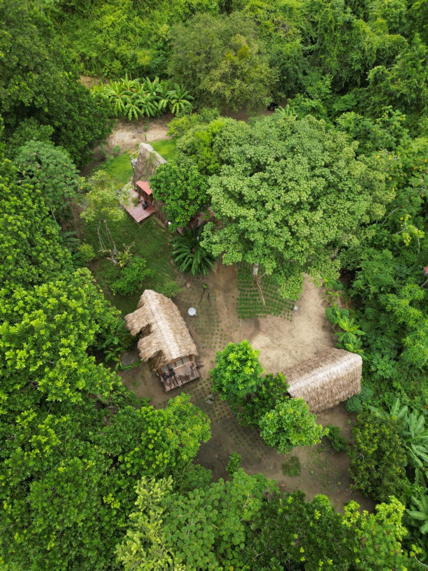 Tiny Houses Unique Tayrona - Dentro Del Parque Tayrona Эль-Саино Экстерьер фото
