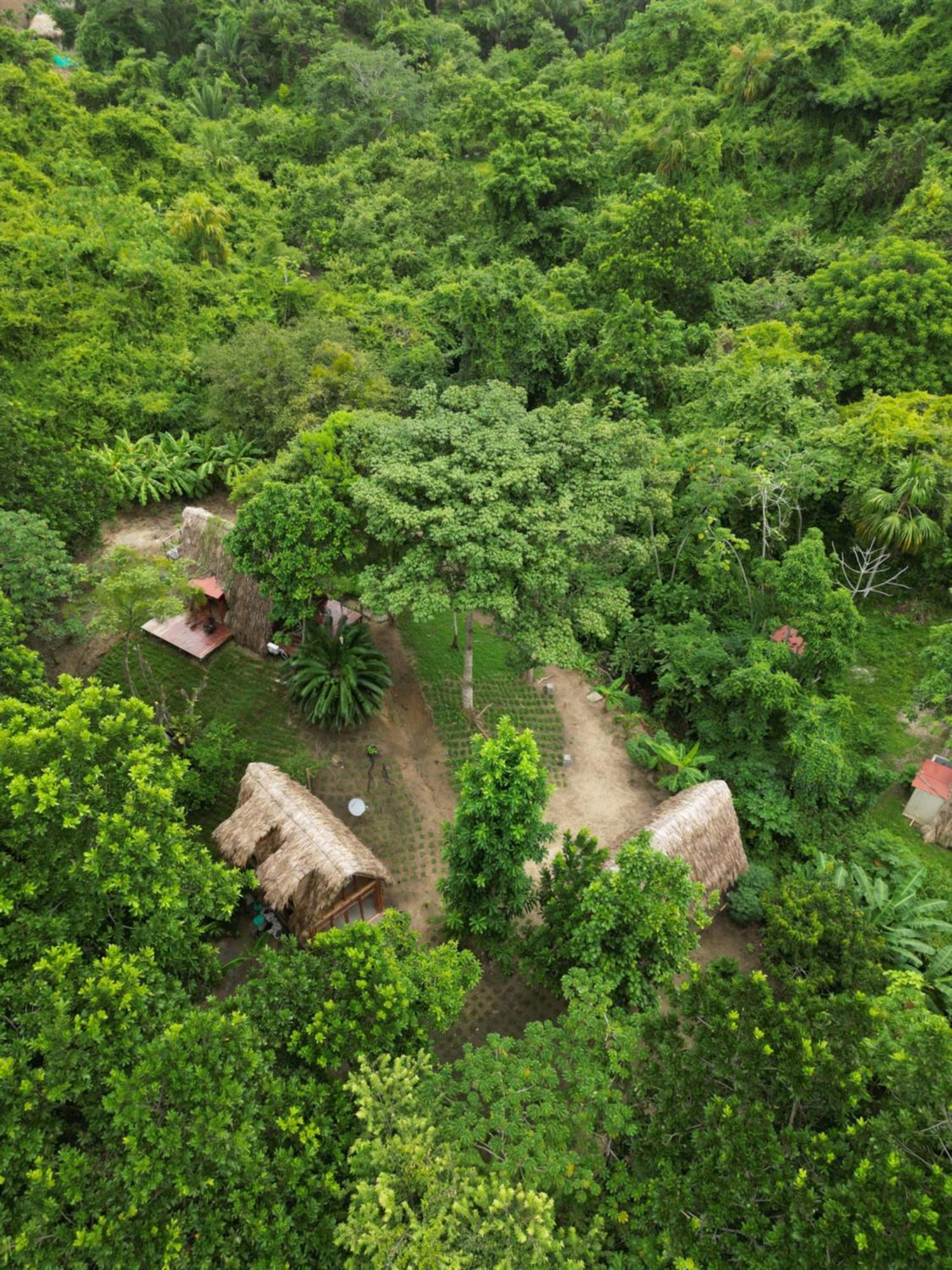 Tiny Houses Unique Tayrona - Dentro Del Parque Tayrona Эль-Саино Экстерьер фото