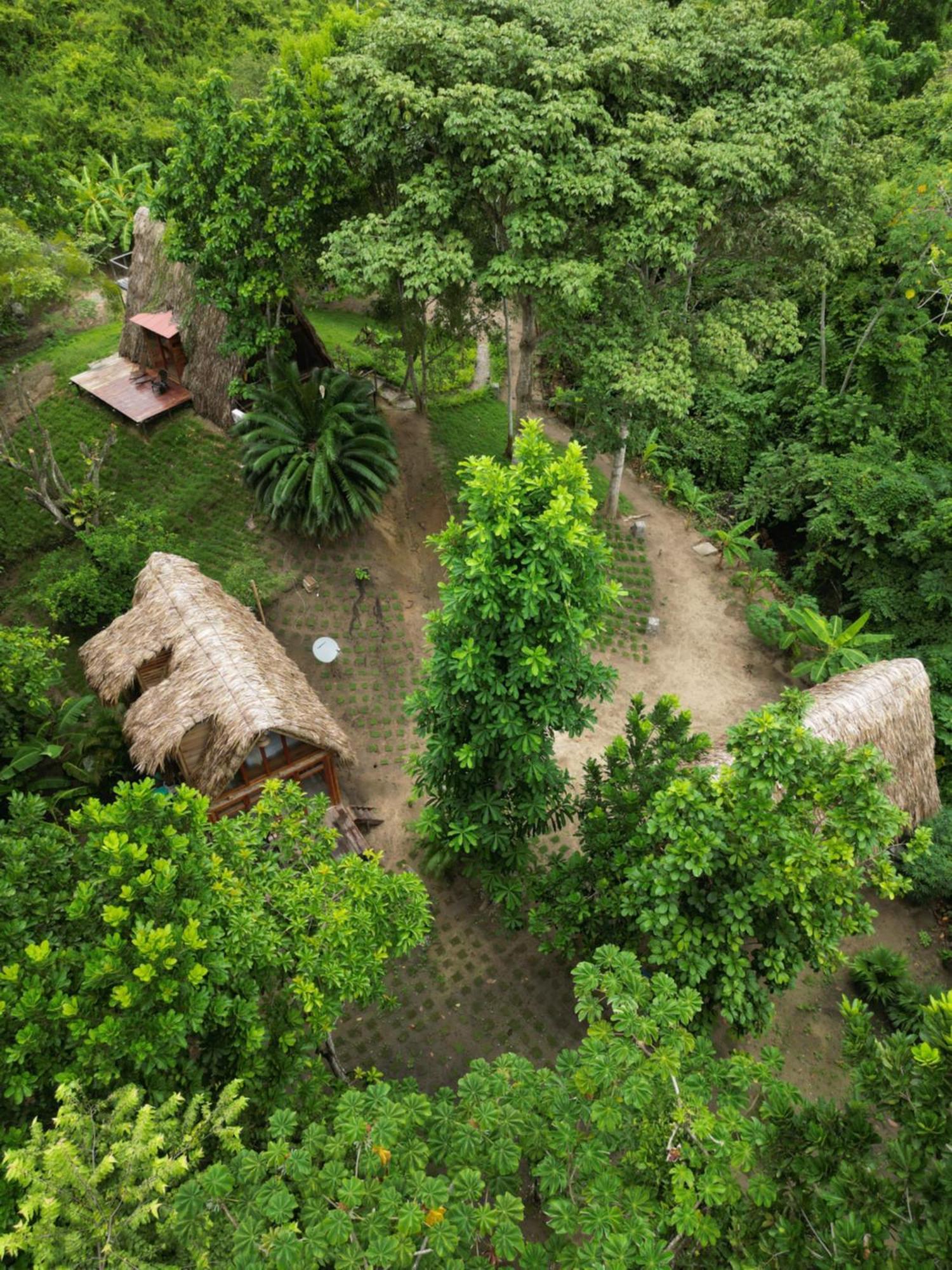 Tiny Houses Unique Tayrona - Dentro Del Parque Tayrona Эль-Саино Экстерьер фото