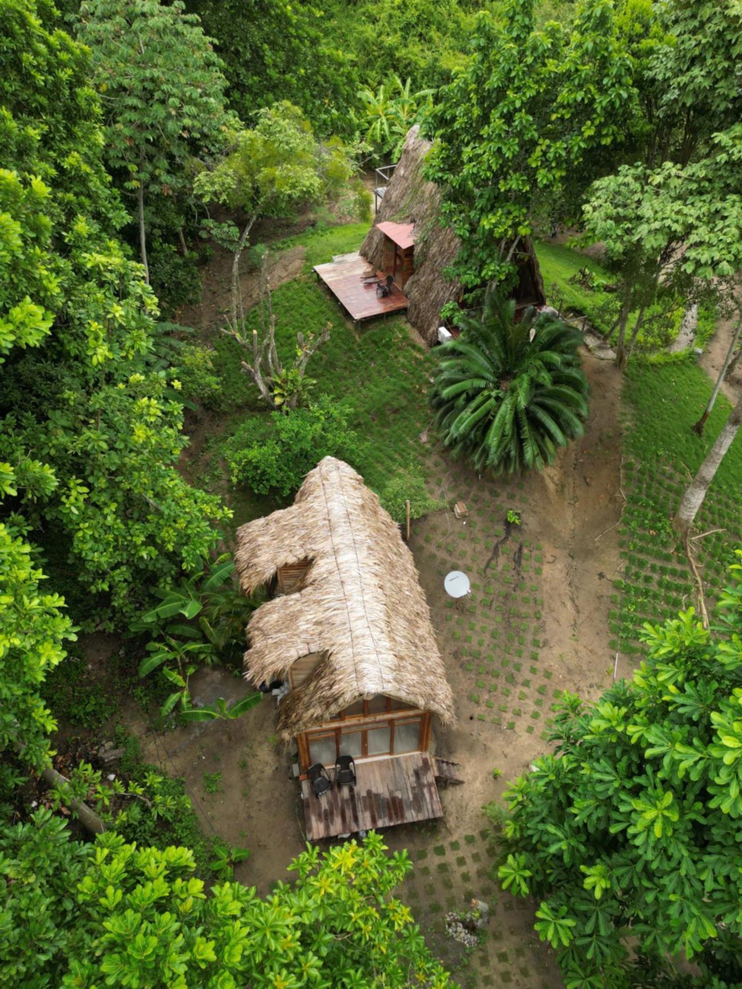 Tiny Houses Unique Tayrona - Dentro Del Parque Tayrona Эль-Саино Экстерьер фото