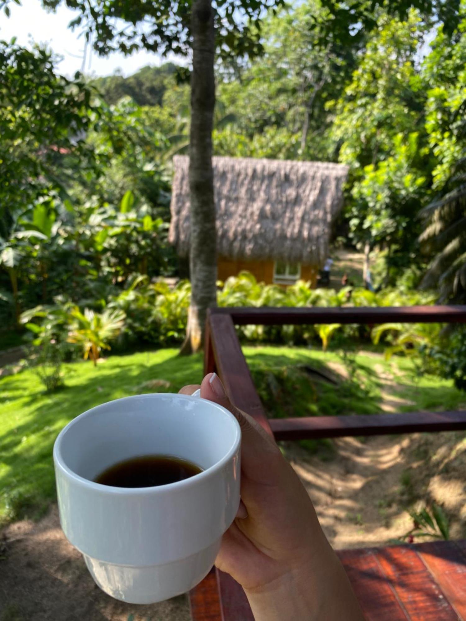 Tiny Houses Unique Tayrona - Dentro Del Parque Tayrona Эль-Саино Экстерьер фото